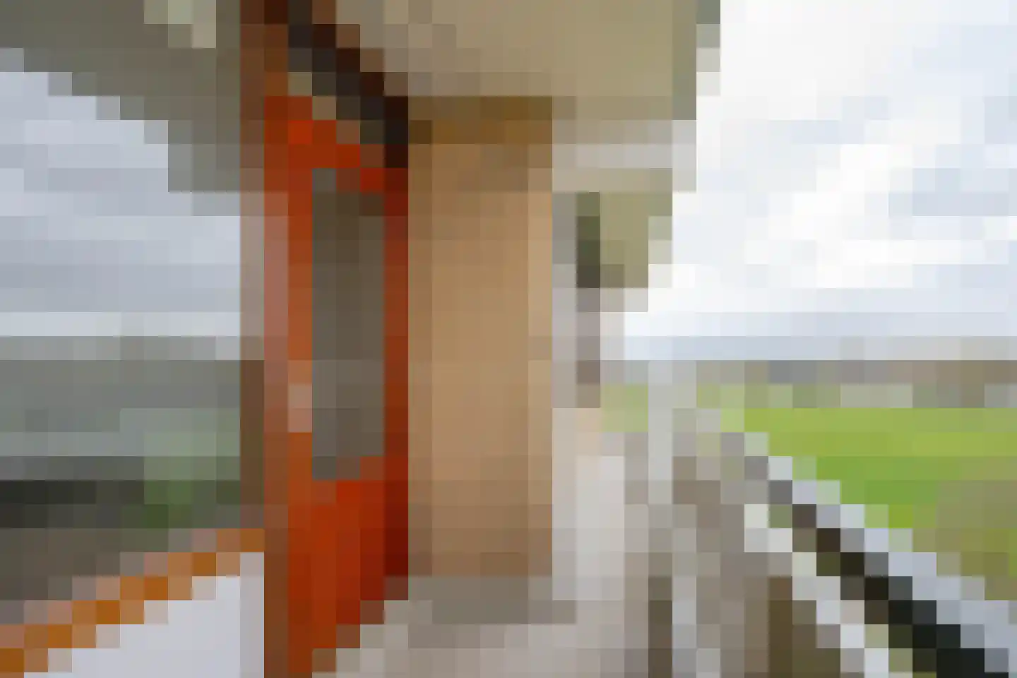 Seringenplantsoen 545 Ridderkerk thumbnail 6