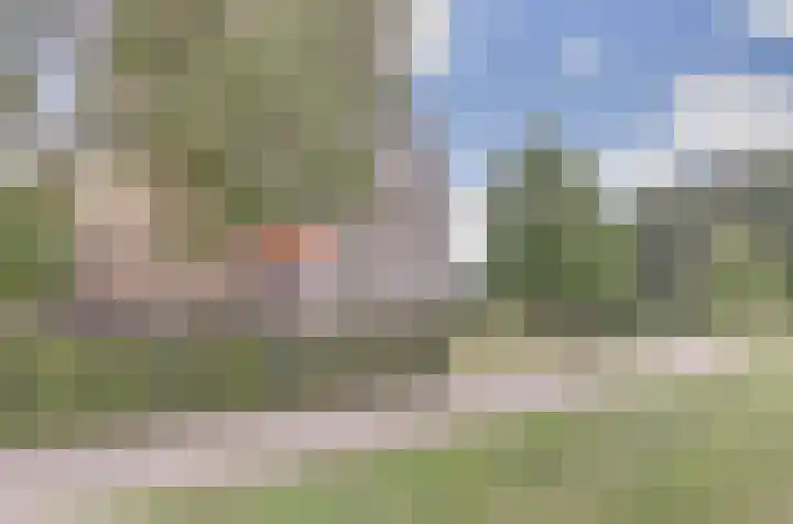 Seringenplantsoen 547 Ridderkerk thumbnail 30
