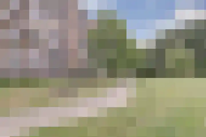 Seringenplantsoen 547 Ridderkerk thumbnail 4