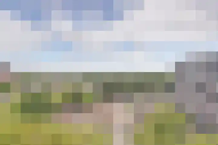 Seringenplantsoen 547 Ridderkerk thumbnail 9