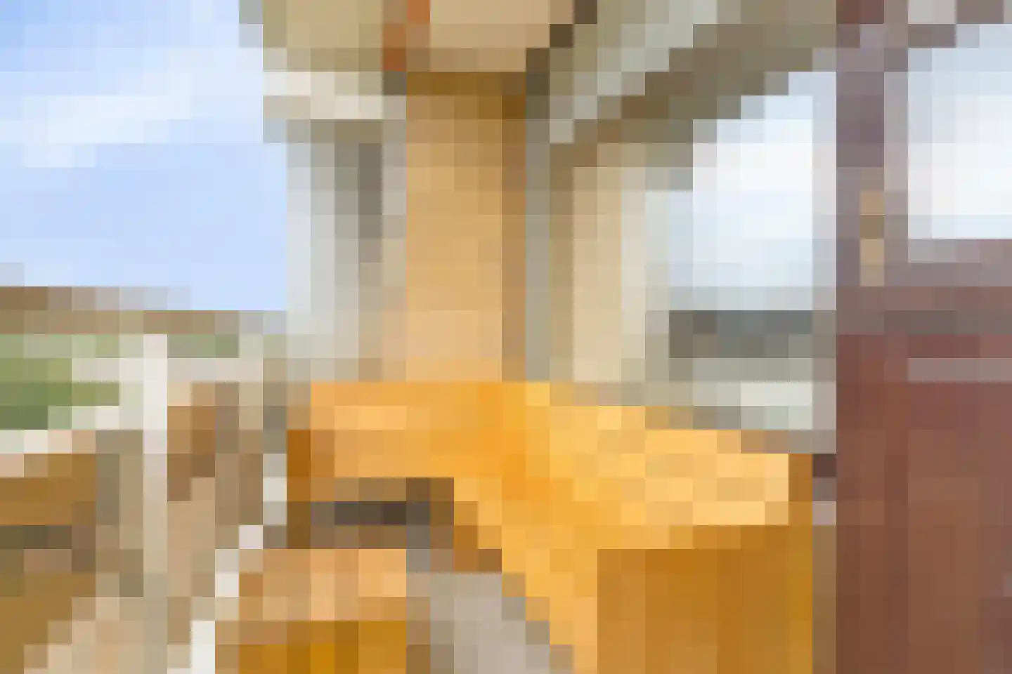 Seringenplantsoen 565 Ridderkerk thumbnail 23