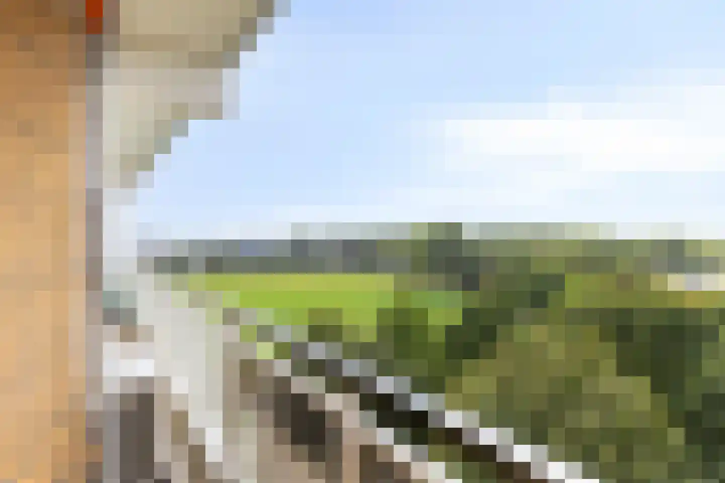 Seringenplantsoen 565 Ridderkerk thumbnail 25