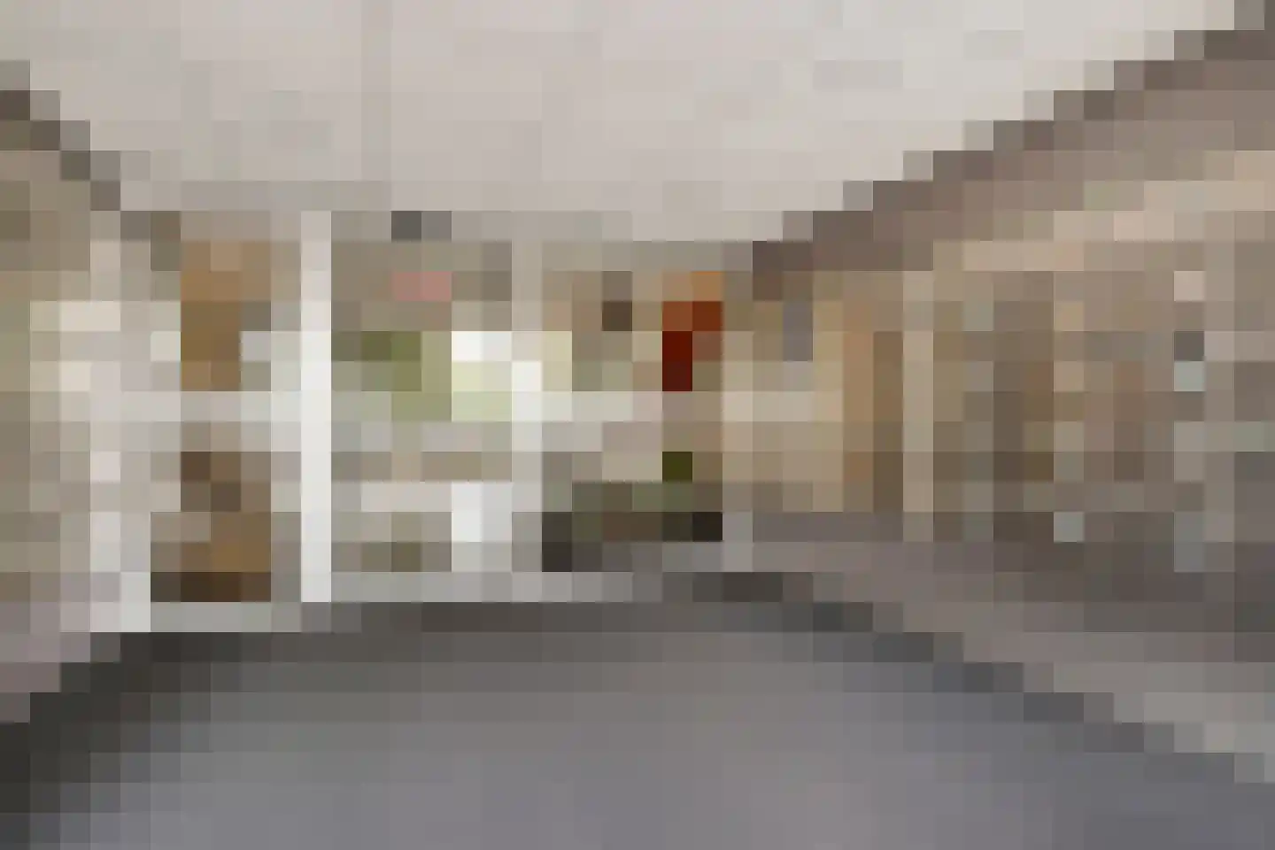 Seringenplantsoen 565 Ridderkerk thumbnail 4