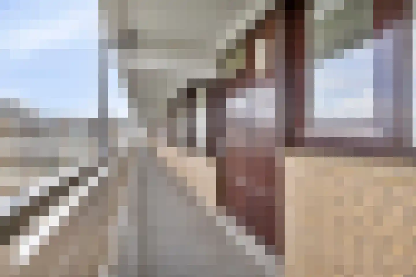 Seringenplantsoen 565 Ridderkerk thumbnail 6