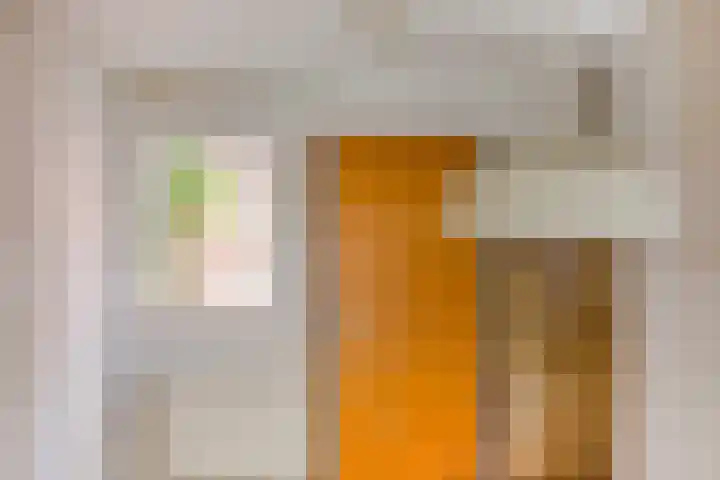 Seringenstraat 1 Borne thumbnail 10