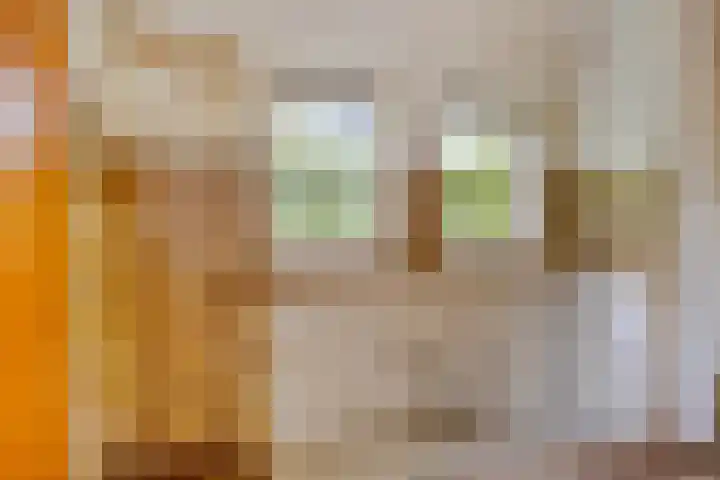 Seringenstraat 1 Borne thumbnail 11
