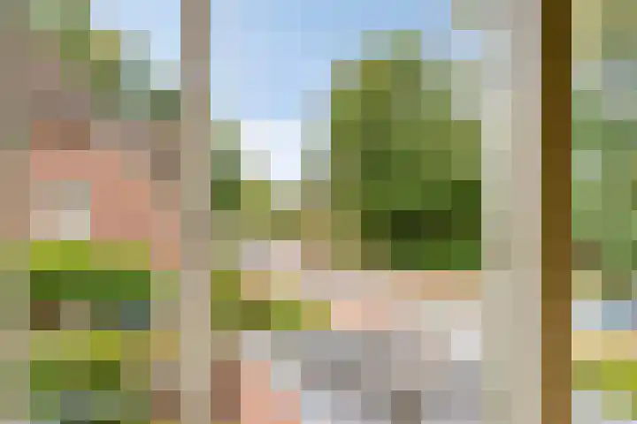 Seringenstraat 1 Borne thumbnail 18