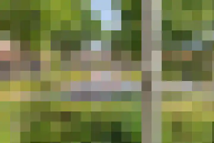 Seringenstraat 1 Borne thumbnail 22