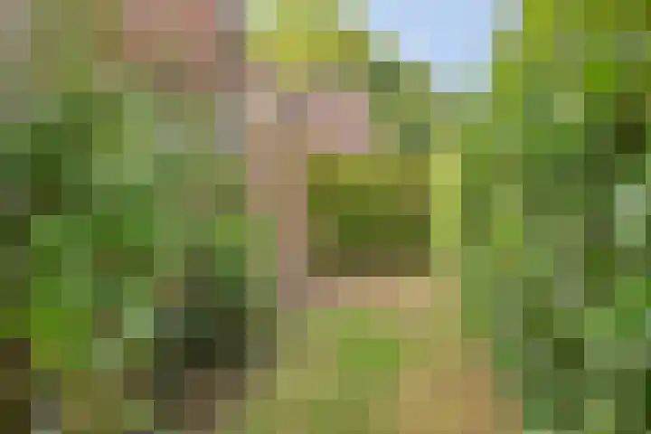 Seringenstraat 1 Borne thumbnail 24