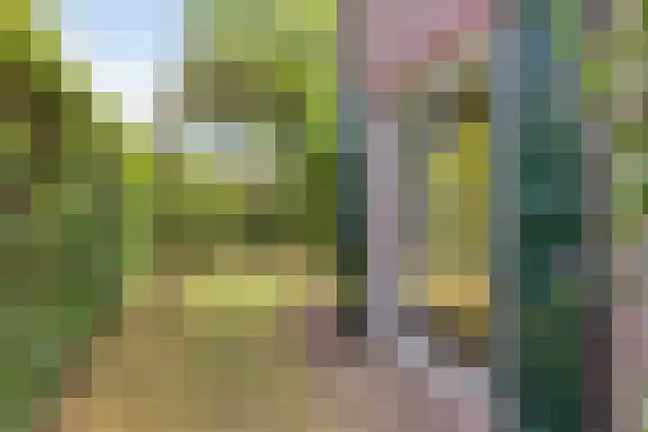 Seringenstraat 1 Borne thumbnail 25