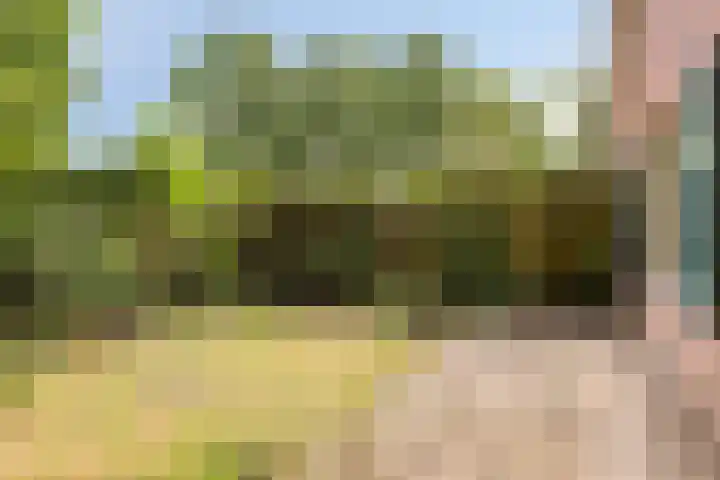 Seringenstraat 1 Borne thumbnail 26