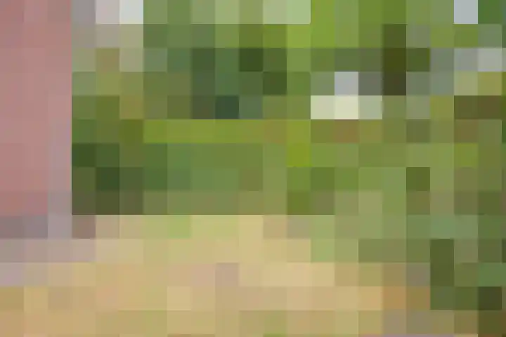Seringenstraat 1 Borne thumbnail 27