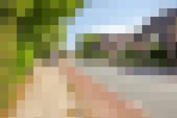 Seringenstraat 1 Borne thumbnail 29