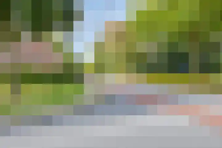 Seringenstraat 1 Borne thumbnail 30