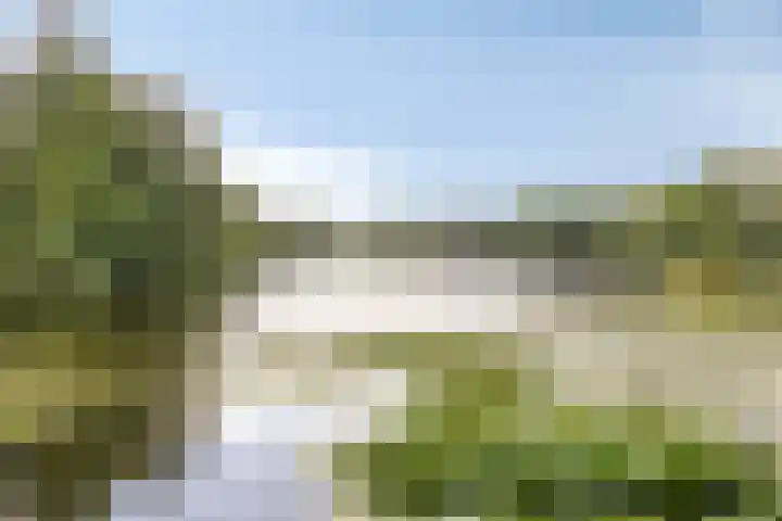 Seringenstraat 1 Borne thumbnail 31