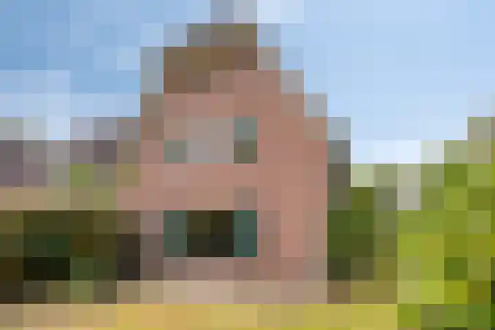 Seringenstraat 1 Borne thumbnail 4
