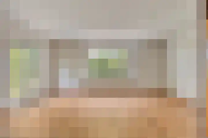 Seringenstraat 1 Borne thumbnail 5