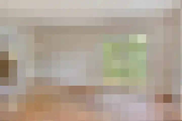 Seringenstraat 1 Borne thumbnail 7