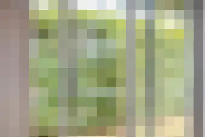 Seringenstraat 1 Borne thumbnail 8