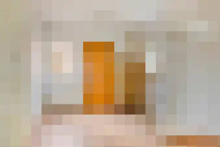Seringenstraat 1 Borne thumbnail 9