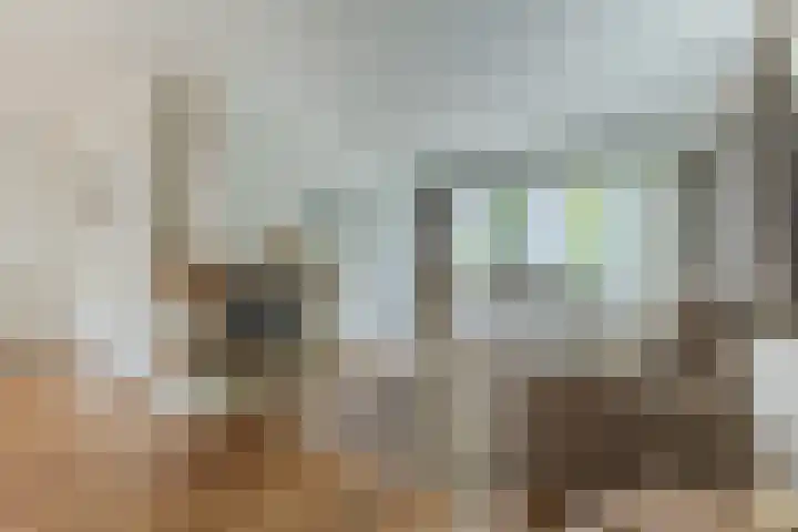 Seringenstraat 1 Valkenswaard thumbnail 10