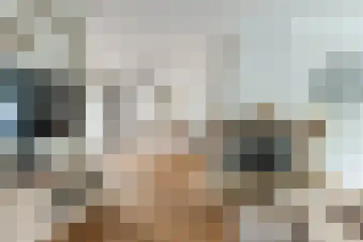Seringenstraat 1 Valkenswaard thumbnail 11