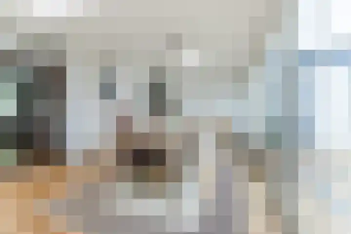 Seringenstraat 1 Valkenswaard thumbnail 12