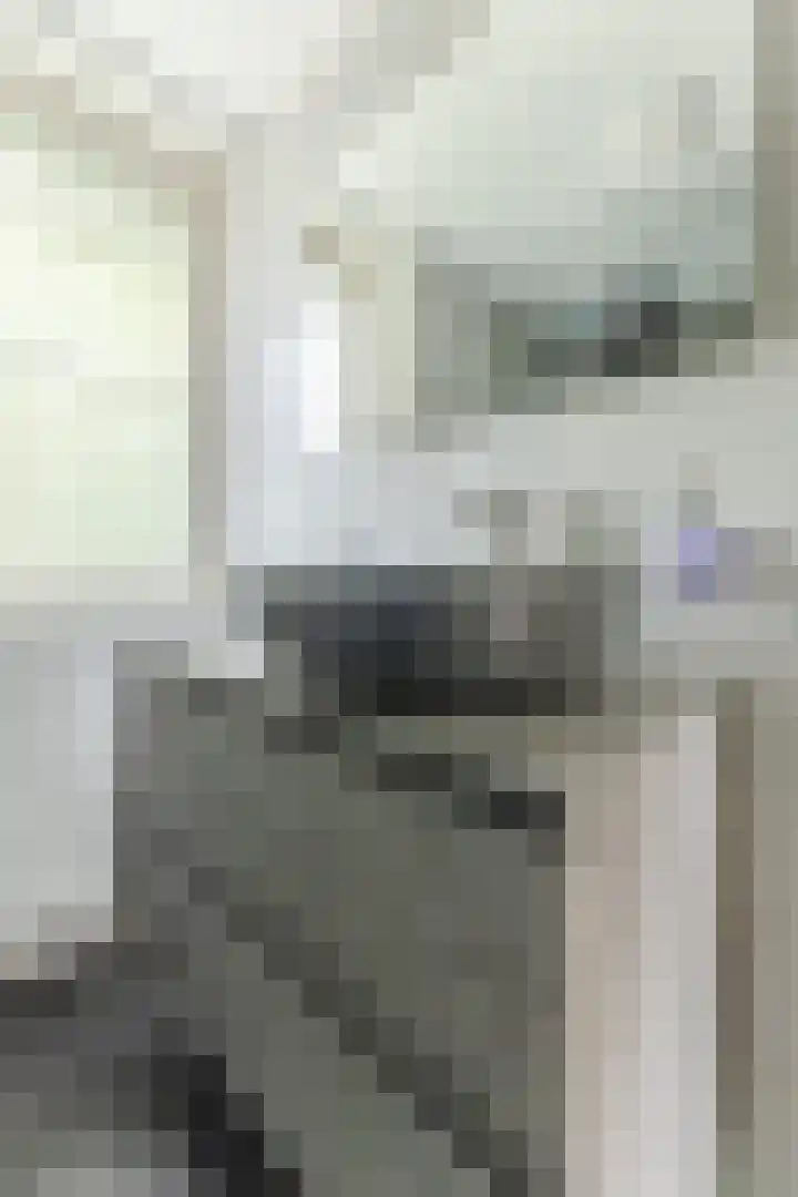 Seringenstraat 1 Valkenswaard thumbnail 23