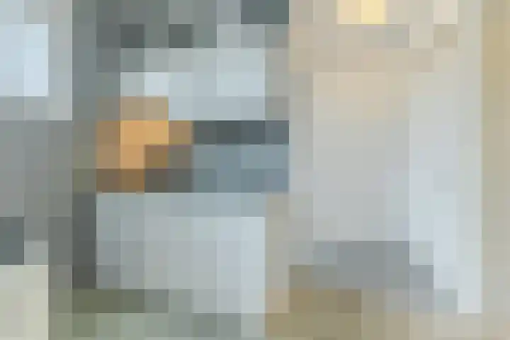 Seringenstraat 1 Valkenswaard thumbnail 36