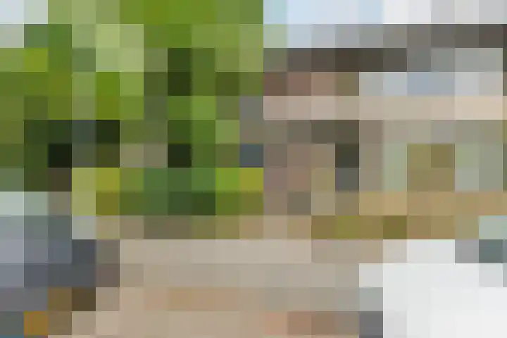 Seringenstraat 1 Valkenswaard thumbnail 41