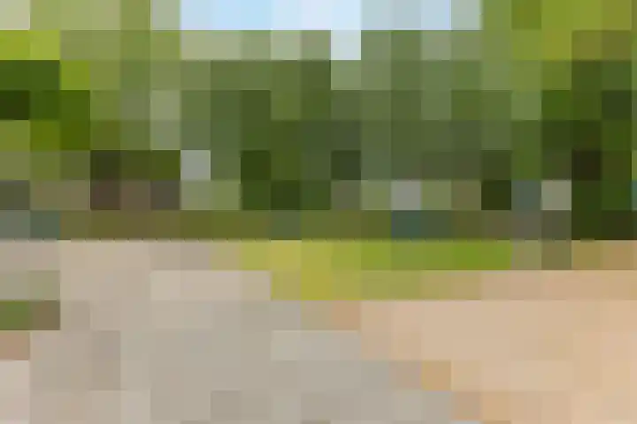 Seringenstraat 1 Valkenswaard thumbnail 42