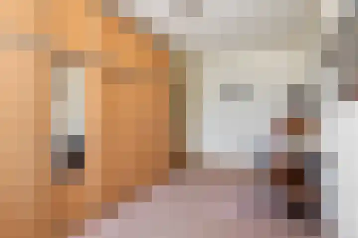 Seringenstraat 10 Beneden-Leeuwen thumbnail 20