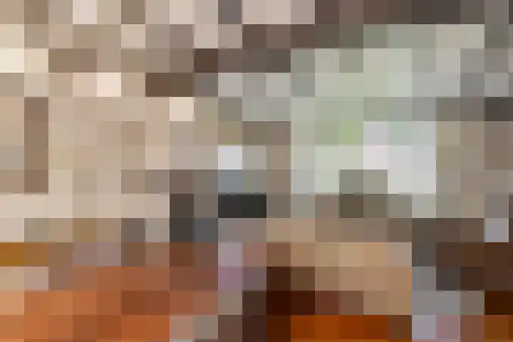 Seringenstraat 10 Beneden-Leeuwen thumbnail 7