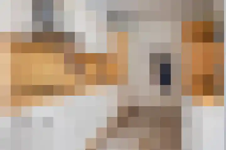 Seringenstraat 10 Beneden-Leeuwen thumbnail 9