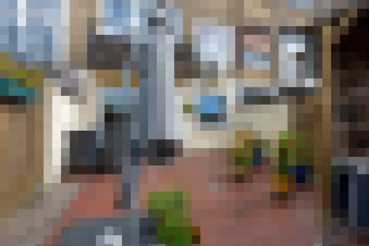 Seringenstraat 10 Bocholtz thumbnail 20