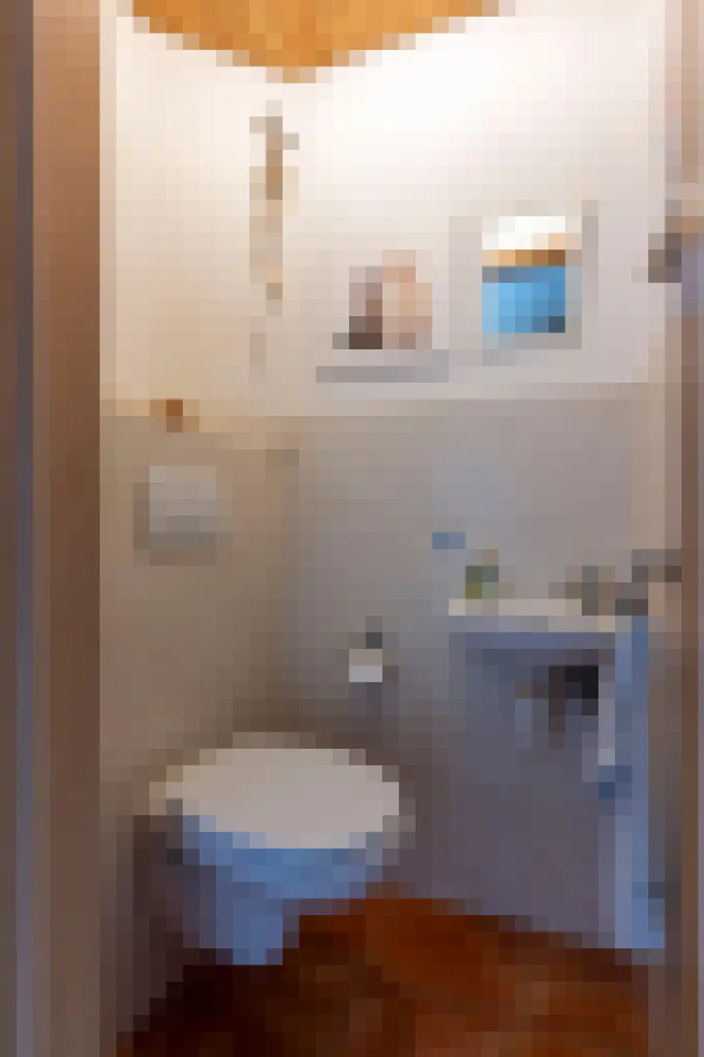 Seringenstraat 10 Bocholtz thumbnail 7