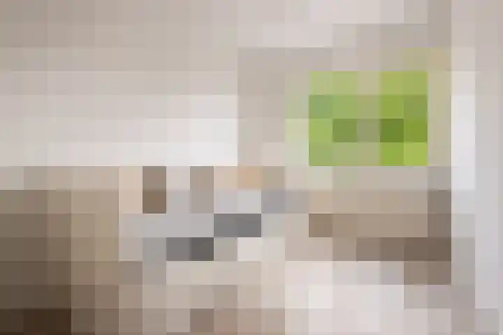 Seringenstraat 10 Putte thumbnail 23
