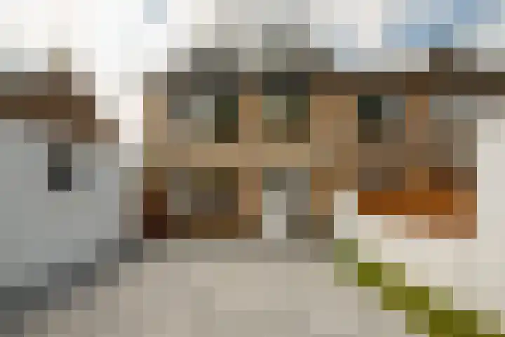 Seringenstraat 10 Putte thumbnail 29