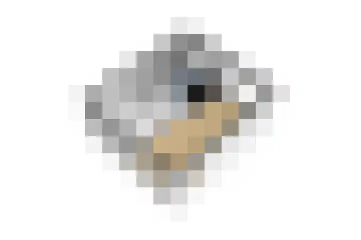 Seringenstraat 10 Putte thumbnail 42