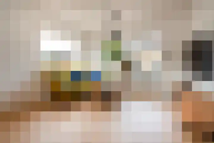 Seringenstraat 10 Putte thumbnail 6