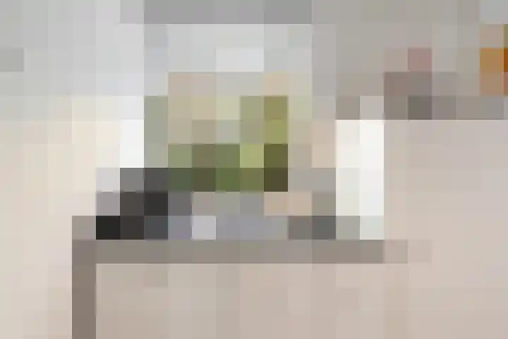 Seringenstraat 10 's-Hertogenbosch thumbnail 13