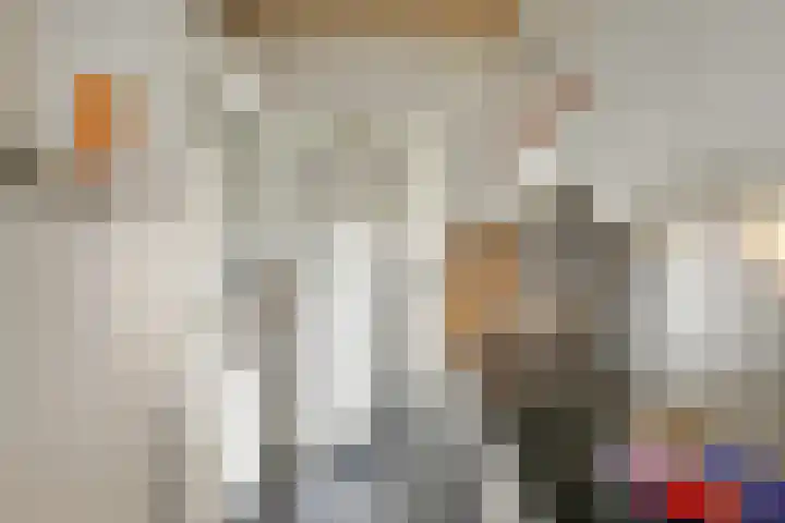 Seringenstraat 10 's-Hertogenbosch thumbnail 15