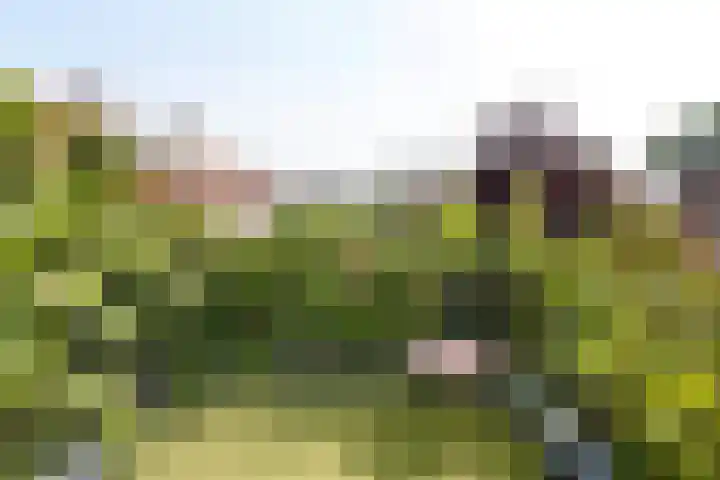 Seringenstraat 10 's-Hertogenbosch thumbnail 26