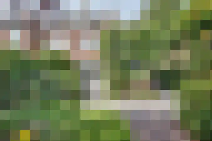 Seringenstraat 10 's-Hertogenbosch thumbnail 35
