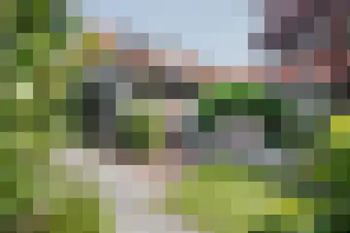 Seringenstraat 10 's-Hertogenbosch thumbnail 36