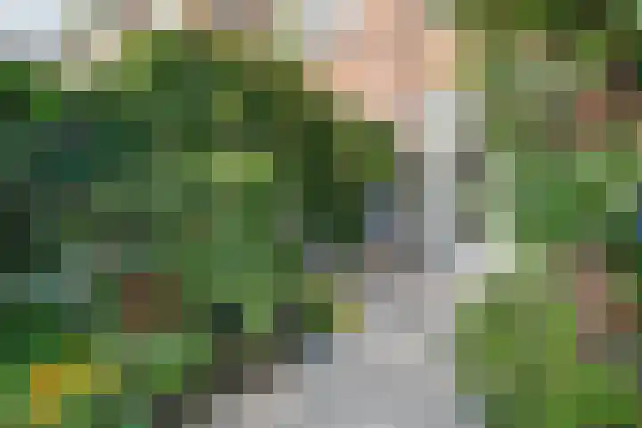 Seringenstraat 10 's-Hertogenbosch thumbnail 38