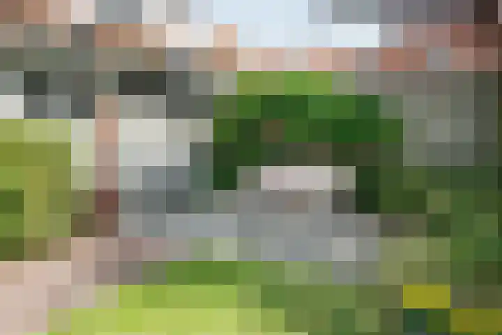 Seringenstraat 10 's-Hertogenbosch thumbnail 39