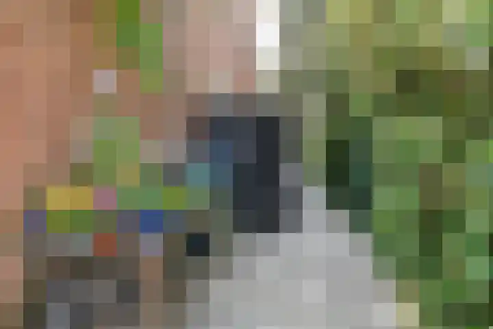 Seringenstraat 10 's-Hertogenbosch thumbnail 41