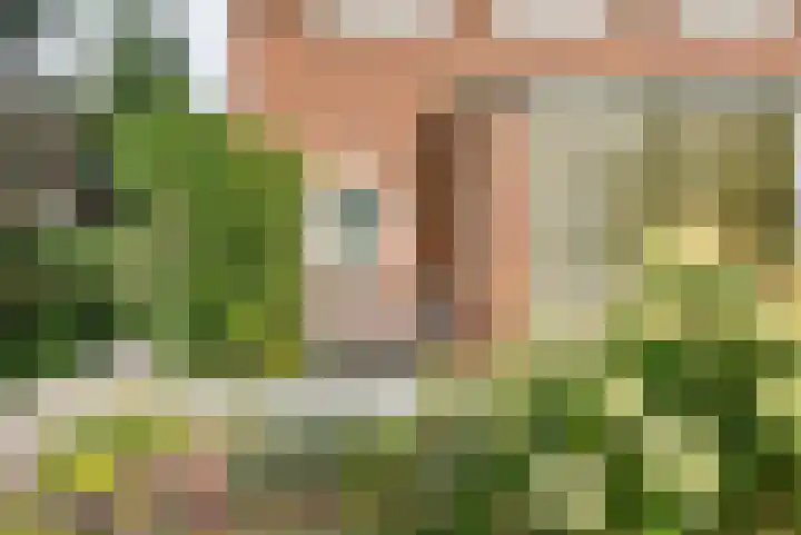 Seringenstraat 10 's-Hertogenbosch thumbnail 43