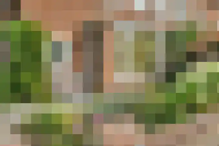 Seringenstraat 10 's-Hertogenbosch thumbnail 44